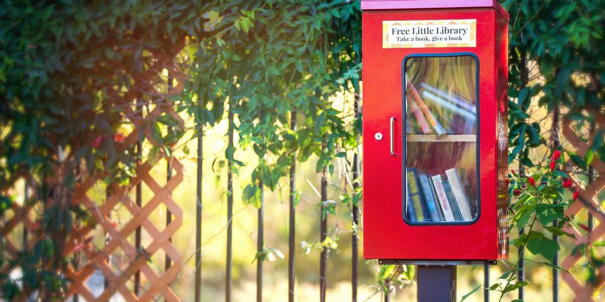 Waarom lezen we niet meer en waarom moeten we terug naar boeken